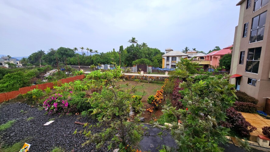 garden